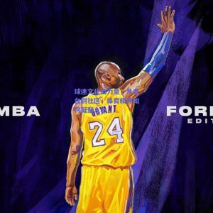 pg模拟器网址-球迷文化的力量，从看台到社区，体育精神如何凝聚人心