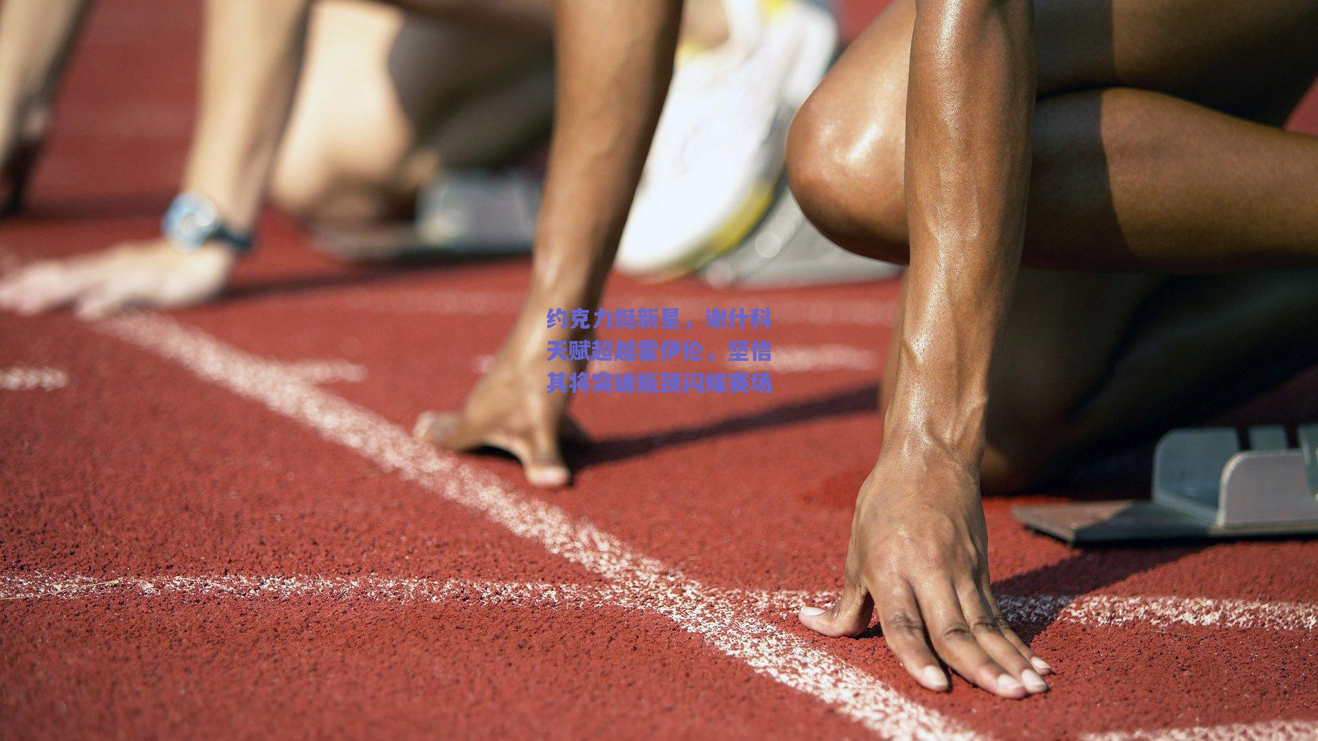 约克力挺新星，谢什科天赋超越霍伊伦，坚信其将突破瓶颈闪耀赛场